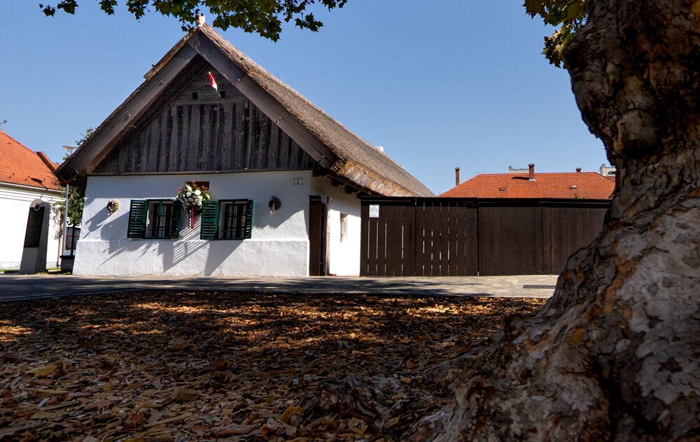 Kiskőrös Önkormányzata